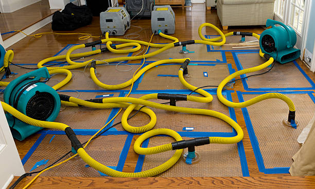 Professional Sewage Cleanup technician working in Montpelier, IN